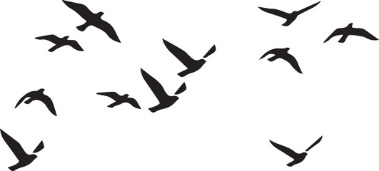 A collection of various sized black bird silhouettes are scattered across a white background, appearing to fly.