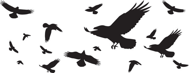 A collection of various sized black bird silhouettes are scattered across a white background, appearing to fly.
