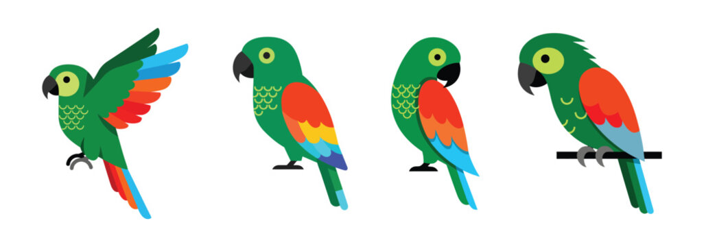 Green Amazon Parrot Bird Illustration