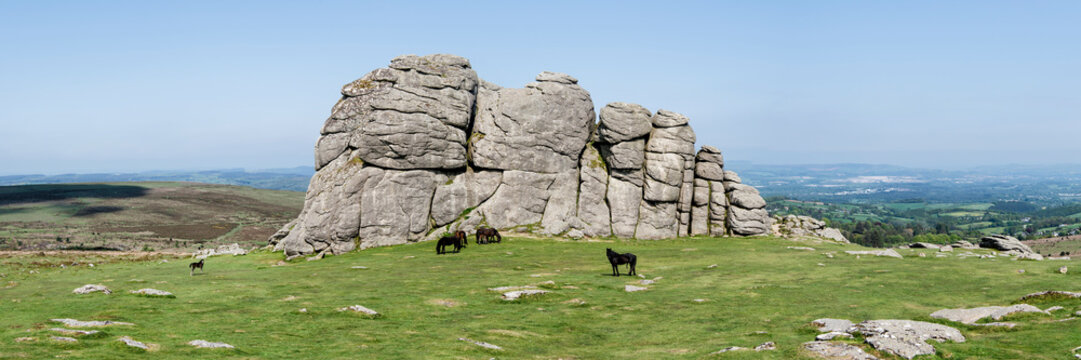 Haytor Low Man rock formation with wild pony in Dartmoor England