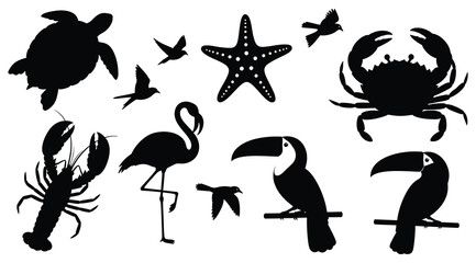 Obraz premium Diverse tropical marine creatures and exotic bird silhouettes set.