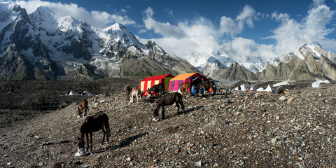 Expedition base camp with tents and donkeys in Karakorum mountains Pakistan