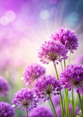 Vibrant purple blooms against a soft white background