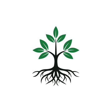 Stylized green tree with black roots isolated on white background