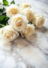 Elegant White Roses on Marble Surface