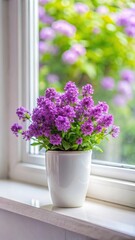 Fragrant purple flowers blooming in a small white ceramic pot on a windowsill