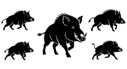 Obraz premium Wild boar or wild pig silhouettes collection large angry mammal running vector illustration set