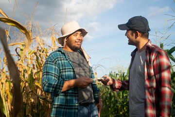 Farmers exchanging ideas and smiling while using digital tools in a cornfield, representing community, technology adoption, and rural innovation.