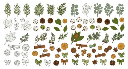 Winter Botanical Elements Vector Set with Leaves, Pinecones, and Citrus – Hand Drawn Decorative Illustration