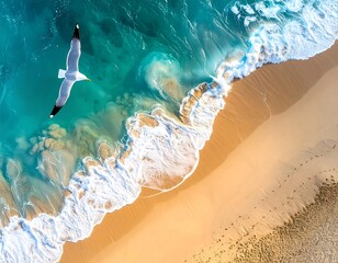 Aerial view of a beach with turquoise water and a flying seabird