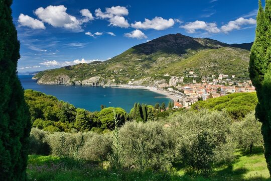 Levanto