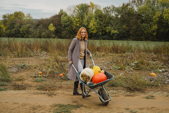 Woman picking pumpkins at autumn pumpkin patch outdoors
