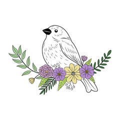 A vintage style illustration representing sparrow