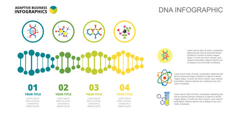 Four DNA Options Slide Template