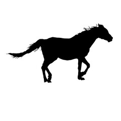 走る馬のシルエット