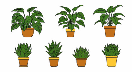 Collection of illustrated potted plants featuring various types and styles, all isolated on white.