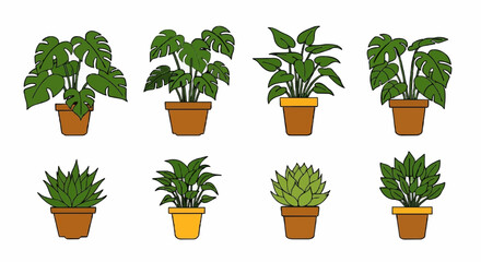 Collection of illustrated potted plants featuring various green foliage, set against a white background.