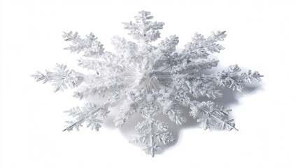 Snow shell flake isolated on white background