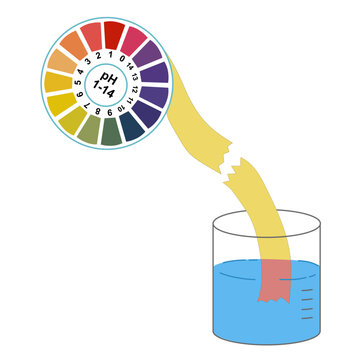 pH Paper Test Strips Submerged in Solution and Compared to Color Chart, Chemistry Scientific Measurement