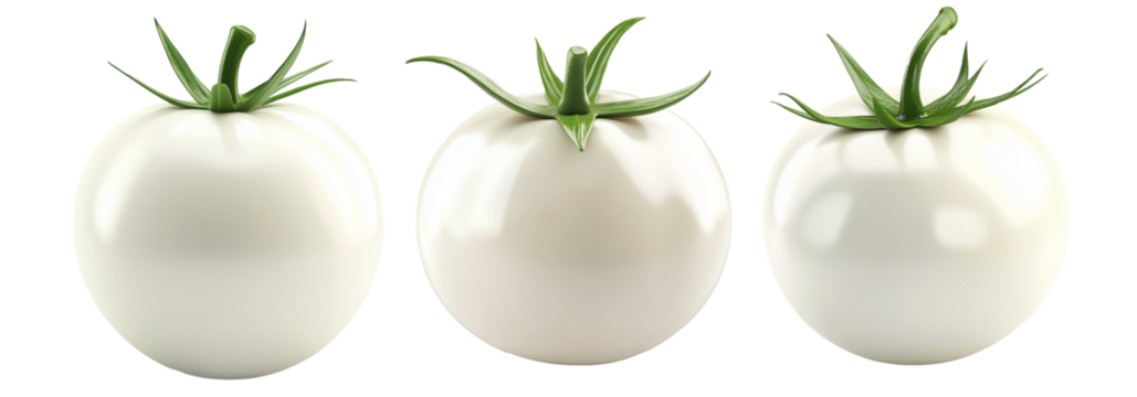 White tomato with a green stem isolated on white transparent background. Unique and rare vegetable concept, symbolizing genetic modification or rarity