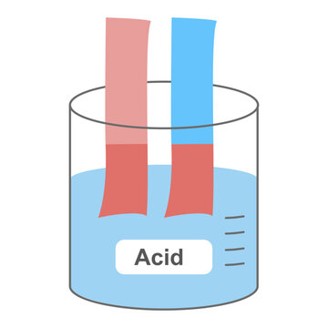 Litmus Paper Test for Acid Solution, Blue Litmus Turning Red Indicator, Chemistry pH Test Experiment