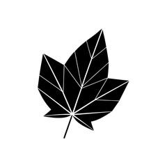 Black leaf with white line details art on transparent background silhouette