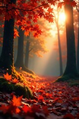 Sunlit orange and red leaves, soft focus forest scene , nature, graphic
