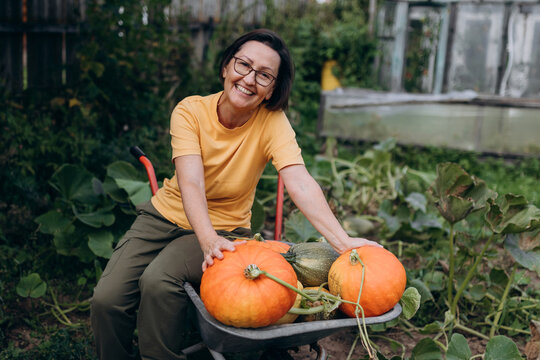 Smiling gardener with pumpkin harvest in wheelbarrow outdoors