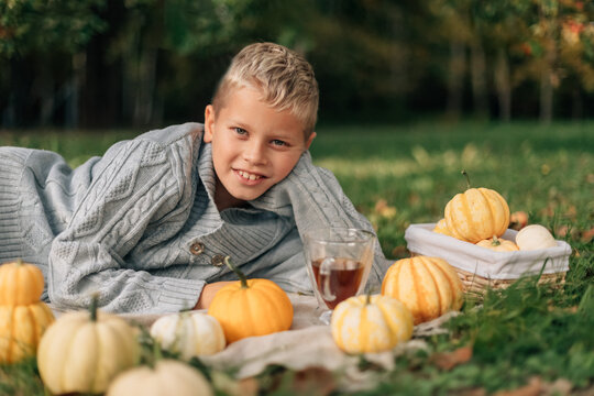 Child relaxing at cozy autumn picnic with pumpkins outdoors