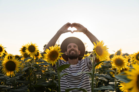 Smiling man enjoying sunflower field making heart sign with fingers