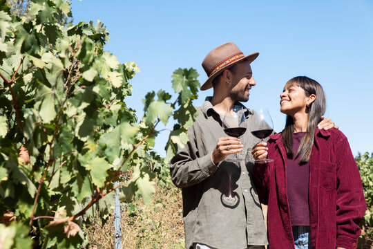 Couple enjoying wine tasting at vineyard during harvest in Aranda de Duero