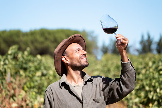 Man tasting red wine in vineyard under sunlight in Aranda de Duero