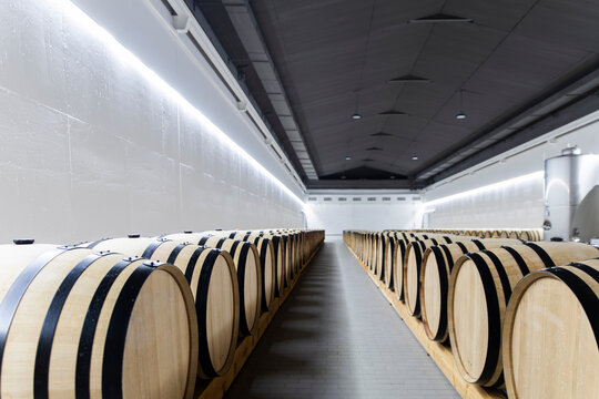 Wine barrels in modern winery cellar at Aranda de Duero Spain