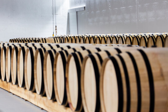 Rows of wooden wine barrels in Aranda de Duero winery Spain