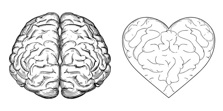 Mindful Love: Silhouette Brain Heart | Clean, isolated vector art for creative projects.