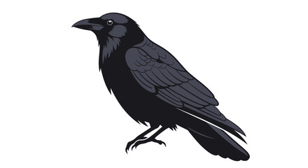 vector illustration of a crow