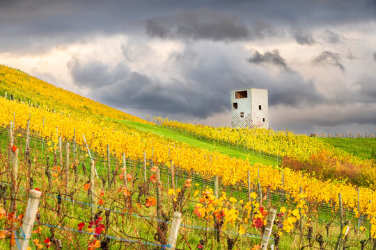 Observation tower in the vineyards of Remstal valley near Korb Germany