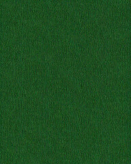 Fototapeta premium Vibrant deep forest green texture background, abstract vertical pattern, seamless surface, elegant organic backdrop, luxurious design element, festive wallpaper, premium quality