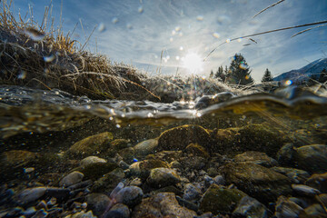 Underwater in a mountain creek on a freezing morning