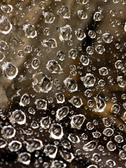 A window with raindrops on it