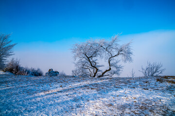 Germany, White snow covered pasture landscape with fog in frosty cold winter scenery with blue sky and frozen trees branches