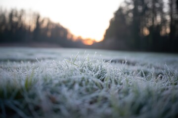 Frozen grass covered in frost on early winter morning nature