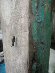 old wood texture