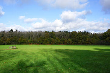 empty parkland field with surrounding woodland trees on sunny autumn day. weather and seasons landscape 
