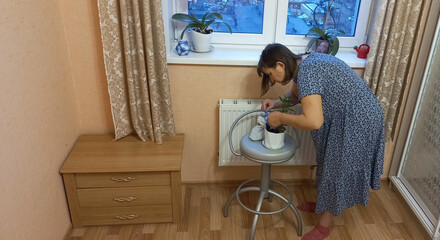 Woman watering houseplants while standing on stool in home interior  