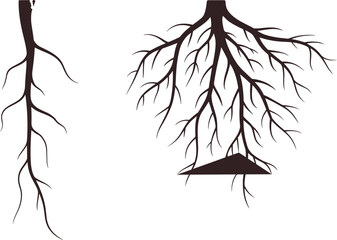 Tree root system illustration with small and large branching roots, natural underground silhouette design for ecology, growth, botanical structure, environmental concept artwork