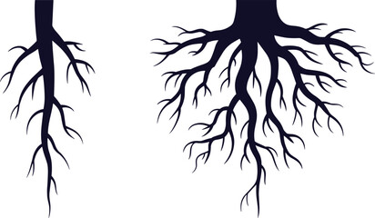 Tree root system vector illustration showing small and large branching roots, natural underground silhouette design for ecology, growth, botanical structure, nature concepts