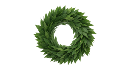 Isolated evergreen laurel wreath, lush foliage symbol for achievement and decoration element