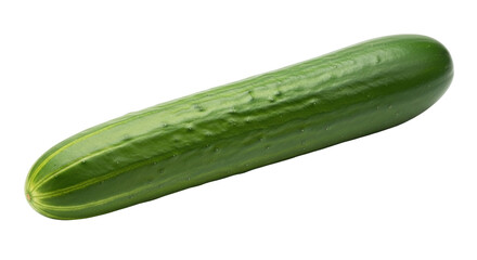 Isolated fresh cucumber on light surface, a healthy uncooked vegetable for raw food diets