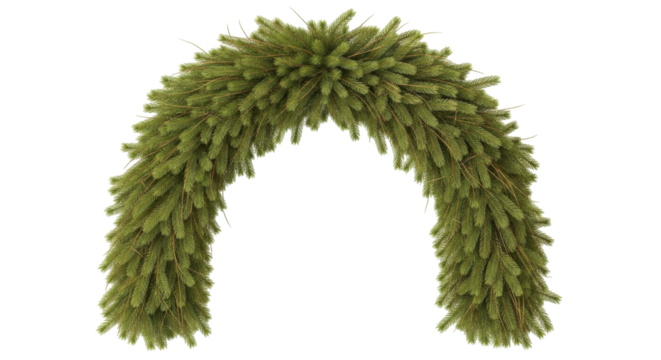 Isolated Evergreen Garland, festive decorative arrangement for seasonal ornamentation